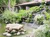 Eden Spa Resort 